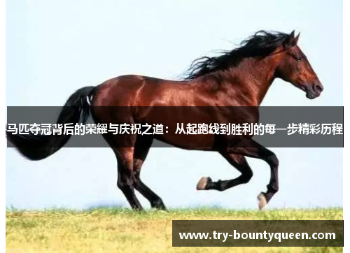 马匹夺冠背后的荣耀与庆祝之道:从起跑线到胜利的每一步精彩历程 马匹夺冠背后的荣耀与庆祝之道:从起跑线到胜利的每一步精彩历程