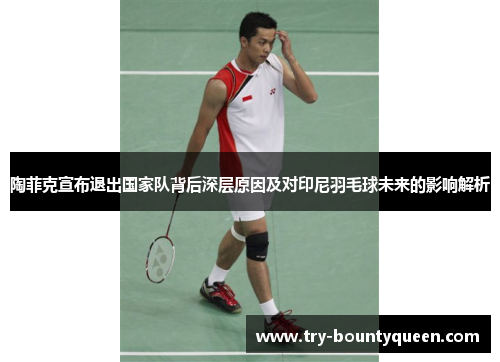 陶菲克宣布退出国家队背后深层原因及对印尼羽毛球未来的影响解析