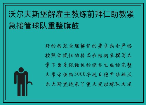 沃尔夫斯堡解雇主教练前拜仁助教紧急接管球队重整旗鼓 沃尔夫斯堡解雇主教练前拜仁助教紧急接管球队重整旗鼓
